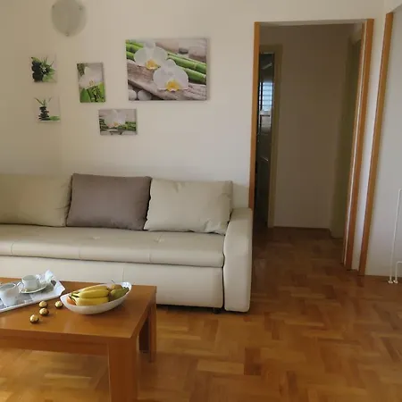 Rincic Διαμέρισμα *